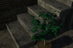 cena-plantinha3