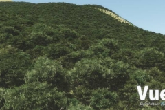 vue10-4